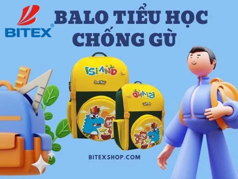 Tại sao balo học sinh tiểu học 360 độ chống gù được nhiều sự lựa chọn