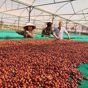 [Event số 1]: Hương vị hoàn mỹ nguyên bản của cà phê Lâm Hà - Lâm Đồng