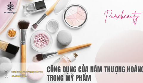 Công dụng của nấm thượng hoàng trong mỹ phẩm| Purebeauty