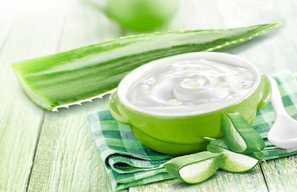 cách làm đẹp da bằng nha đam với sữa chua