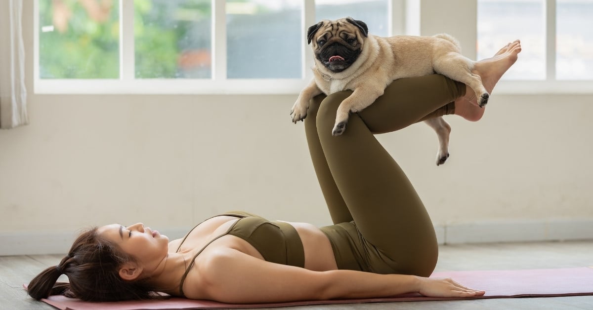 Yoga và cuộc sống đô thị: Hòa mình vào bộn bề