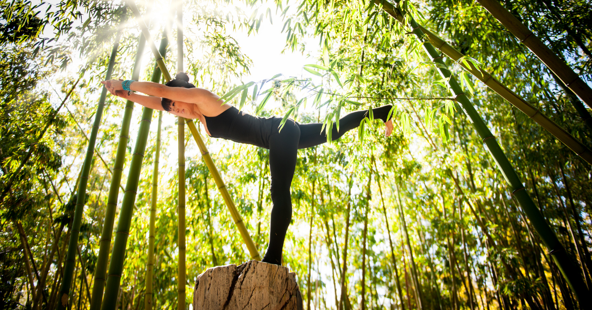 39.1. Lợi ích sức khỏe khi tập Yoga thanh lọc