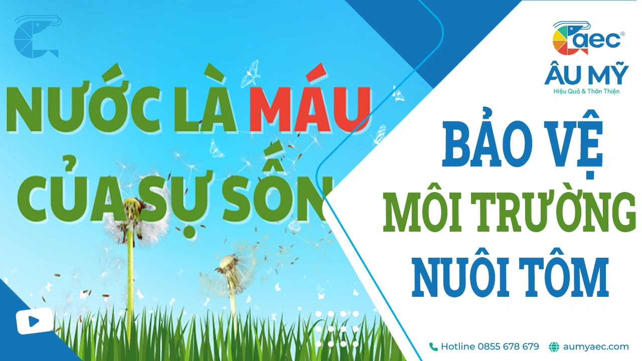 115 + Câu nói và Khẩu hiệu về Bảo vệ môi trường