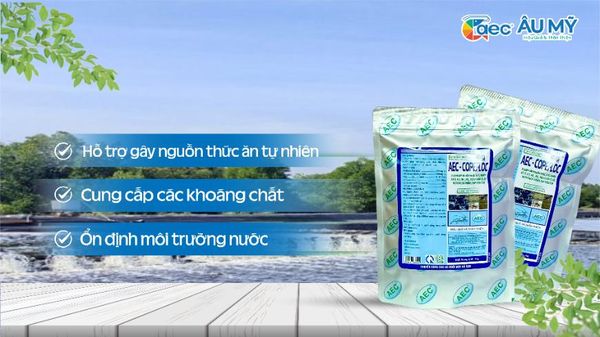 LÀM SAO ĐỂ SỬ DỤNG MEN VI SINH AEC COPEFLOC HIỆU QUẢ