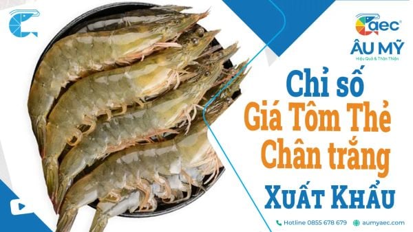 Giá Tôm thẻ Chân trắng: Chỉ số Urner Barry HLSO Farm-Raised White Shrimp Index EBP