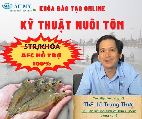 THÔNG BÁO TUYỂN SINH CHƯƠNG TRÌNH ĐÀO TẠO NUÔI TÔM KHÓA AEC-TOM07
