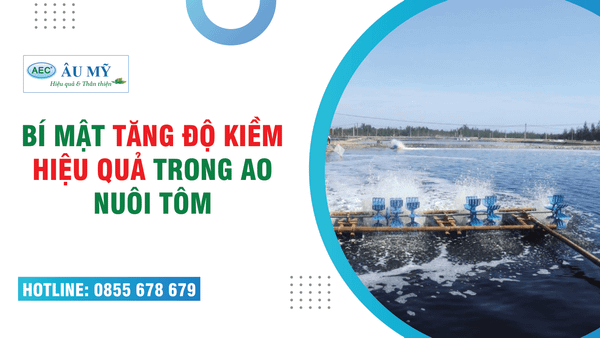 CÁCH TĂNG ĐỘ KIỀM TRONG AO NUÔI TÔM SÚ, KIỂM SOÁT ĐỘ KIỀM HIỆU QUẢ