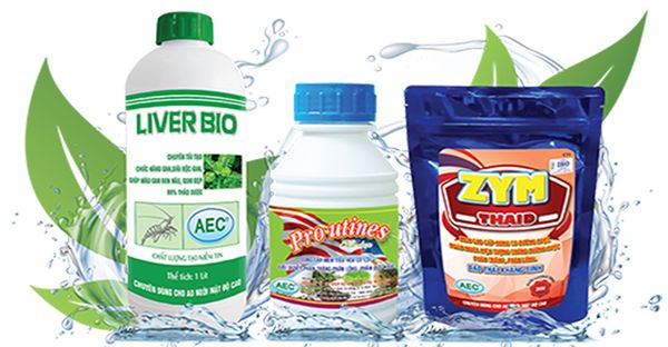 Thuốc thủy sản Khuyến cáo sử dụng trong nuôi tôm công nghiệp và quảng canh