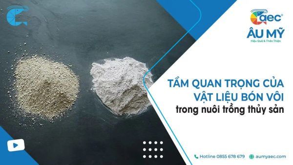 Tầm quan trọng của vật liệu bón vôi trong nuôi trồng thủy sản