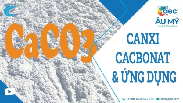 CaCO3 là gì? Tìm hiểu về Canxi Cacbonat và ứng dụng