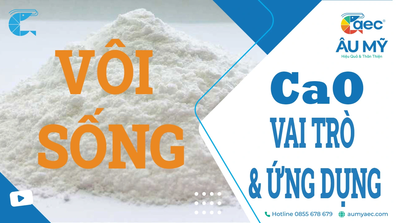 Vôi sống - CaO - Canxi Oxit: Đặc Tính, Vai Trò  và Ứng Dụng trong nuôi tôm
