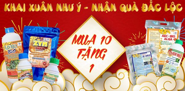 Thể Lệ Chương Trình khuyến mãi  khai xuân như ý - nhận quà đắc lộc
