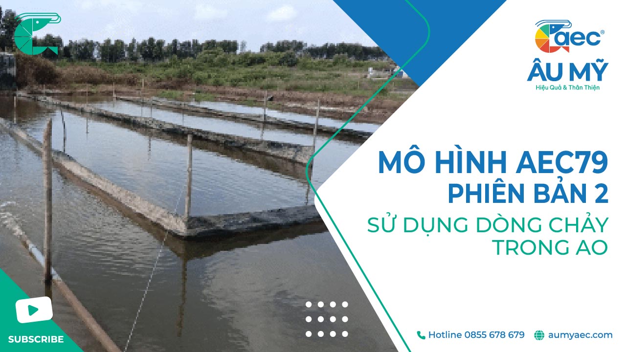 MÔ HÌNH AEC79 PHIÊN BẢN 2 - SỬ DỤNG DÒNG CHẢY TRONG AO