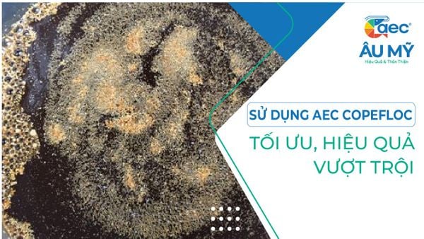 MEN VI SINH AEC COPEFLOC TỐI ƯU, HIỆU QUẢ VƯỢT TRỘI