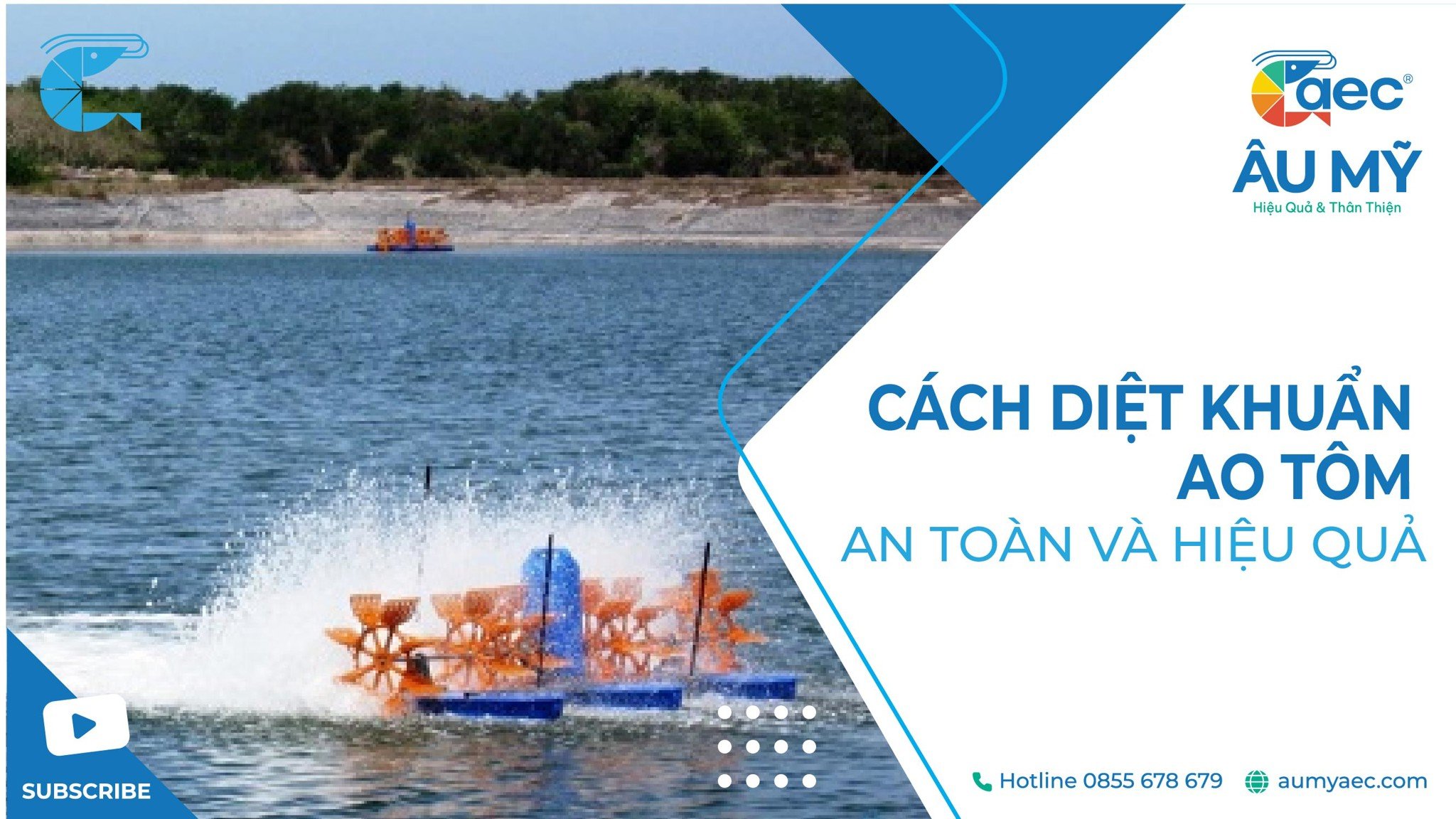 CÁCH DIỆT KHUẨN AO TÔM AN TOÀN VÀ HIỆU QUẢ