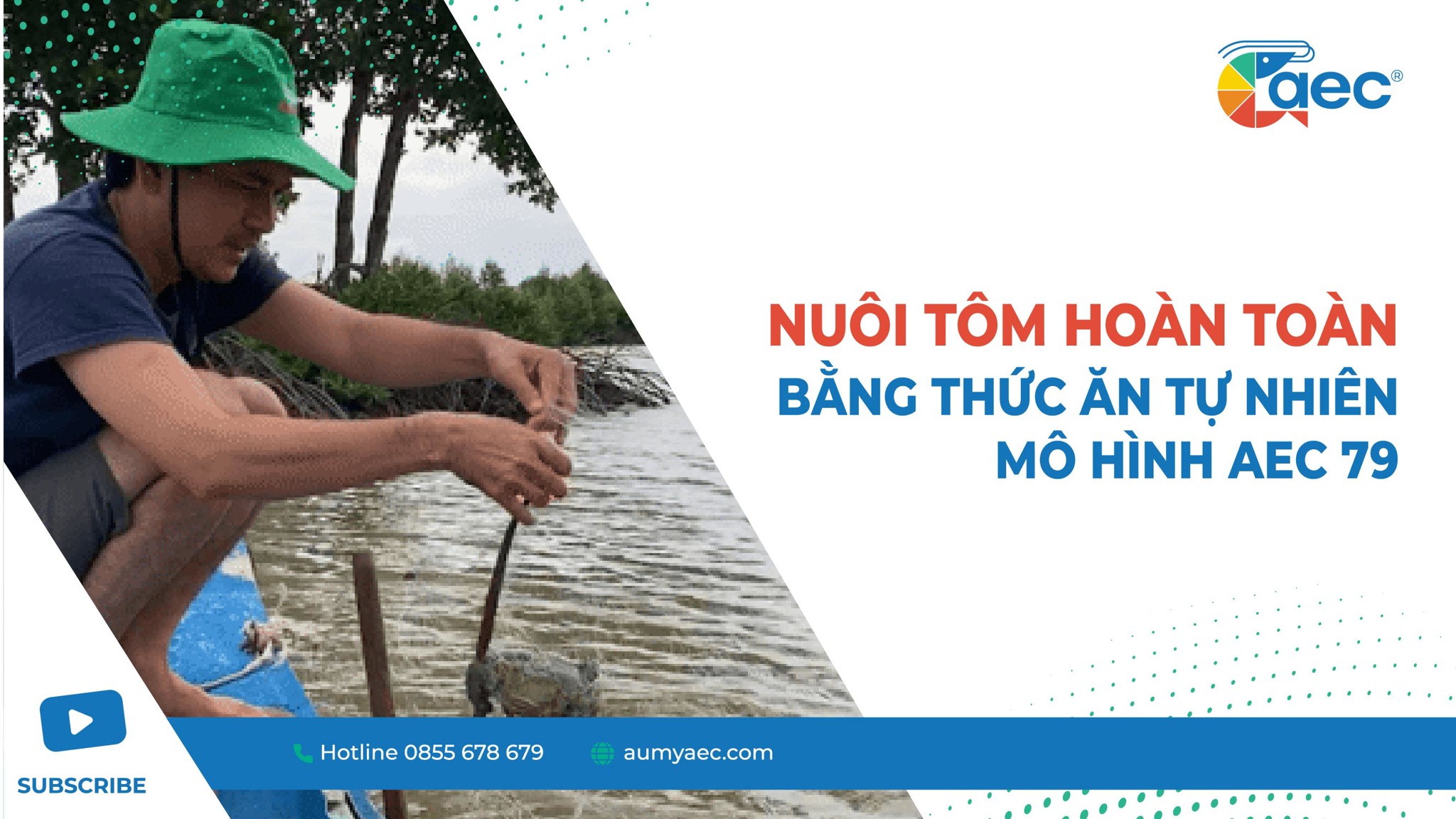 NUÔI TÔM HOÀN TOÀN BẰNG THỨC ĂN TỰ NHIÊN | MÔ HÌNH AEC 79