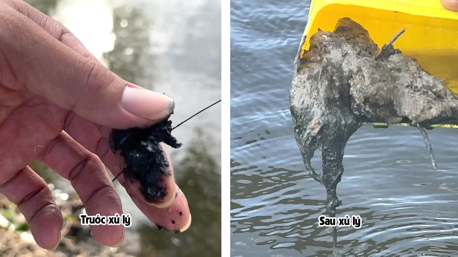CÁCH XỬ LÝ ĐÁY ĐEN TRONG AO NUÔI – GIẢI PHÁP HIỆU QUẢ VỚI ENZYME PLUS