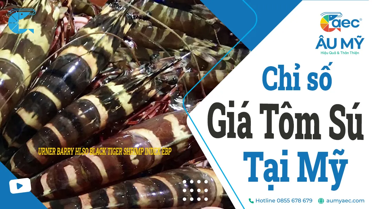 Giá Tôm Sú: Chỉ số Urner Barry - Thị trường Xuất nhập khẩu Mỹ