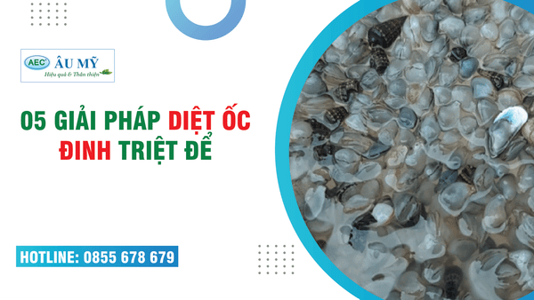 5 giải pháp DIỆT ỐC ĐINH triệt để