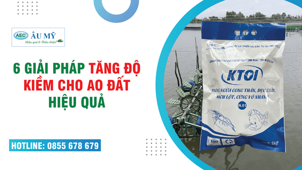 06 giải pháp duy trì độ kiềm cho ao đất hiệu quả