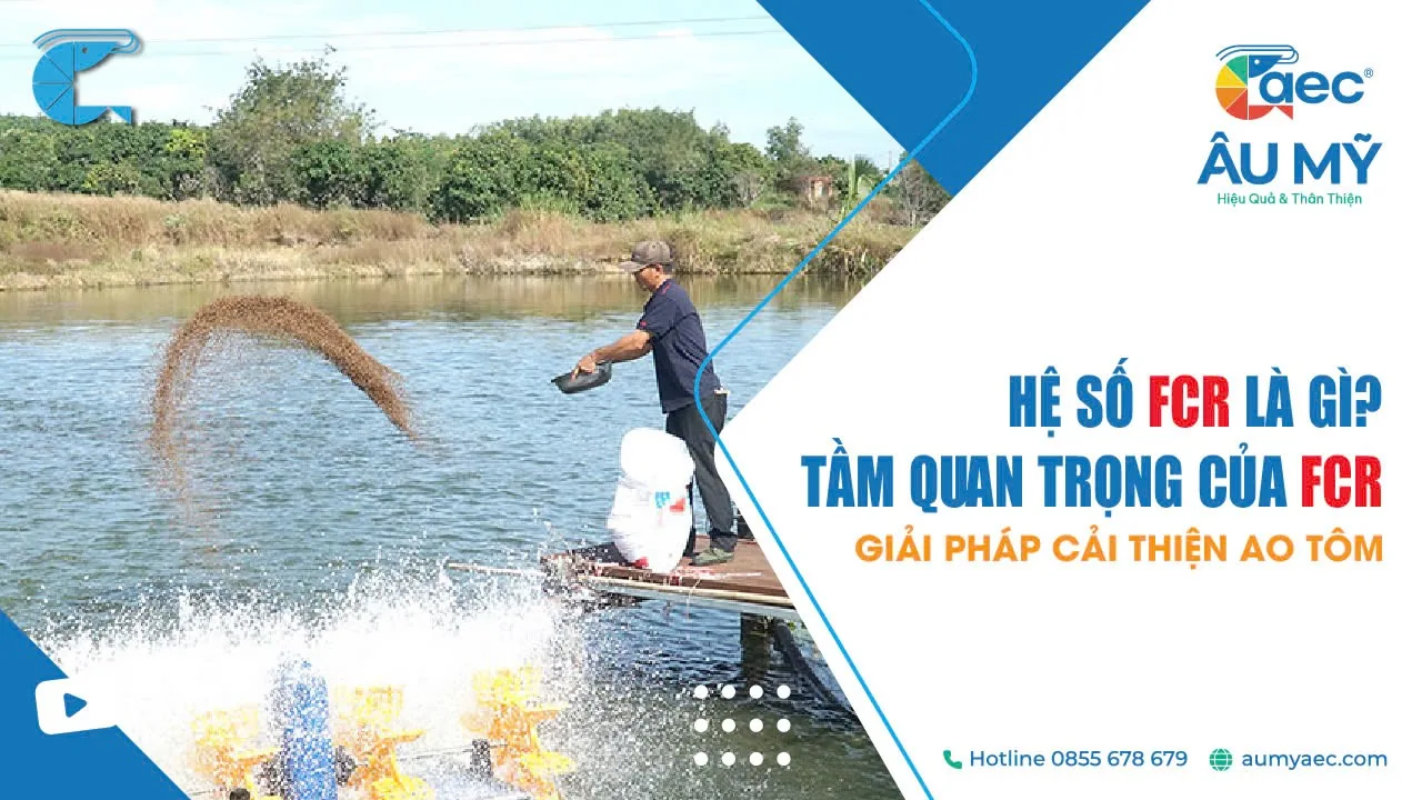 Hệ số thức ăn FCR là gì? Tầm Quan Trọng và Biện Pháp Cải Thiện