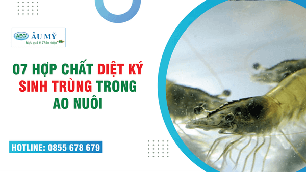 THUỐC XỔ KÝ SINH TRÙNG CHO TÔM, 7 HỢP CHẤT DIỆT KÝ SINH TRÙNG THỦY SẢN
