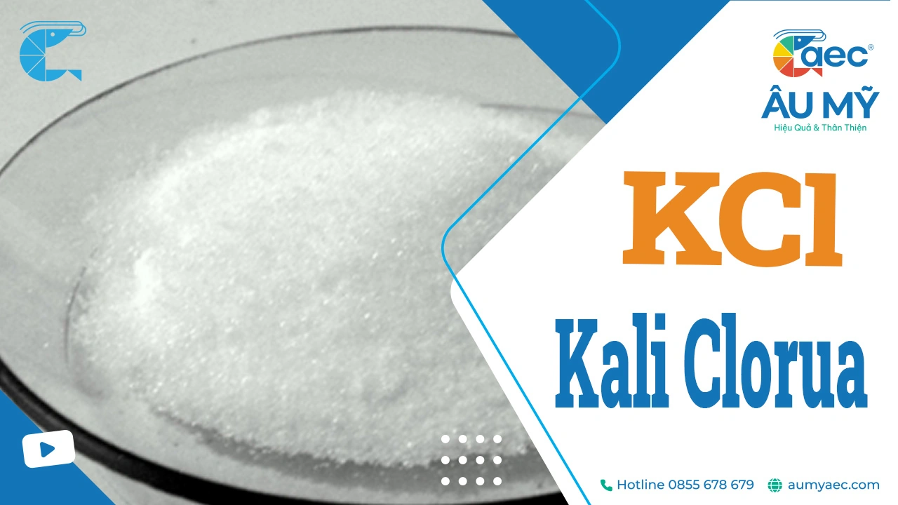 Kali và KCl là gì? Tính chất và ứng dụng Kali Clorua