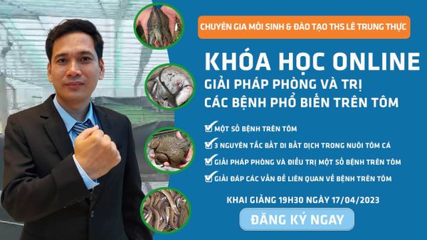 THÔNG BÁO Khóa học ” GIẢI PHÁP PHÒNG VÀ TRỊ MỘT SỐ BỆNH TRÊN TÔM” – Th.S Lê Trung Thực