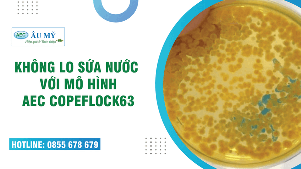 KHÔNG LO SỨA NƯỚC VỚI MÔ HÌNH AEC COPEFLOCK 63