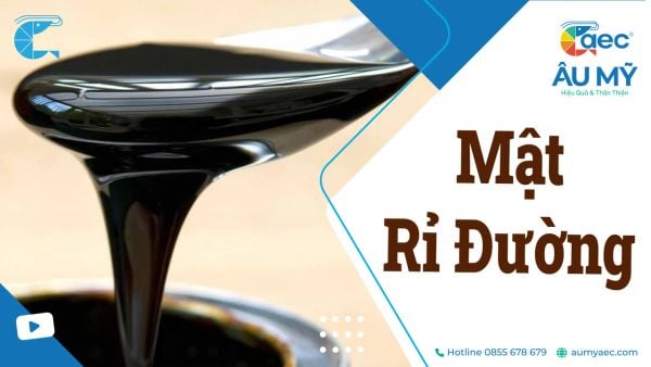 Mật rỉ đường là gì? Lợi ích và Ứng dụng Nuôi tôm