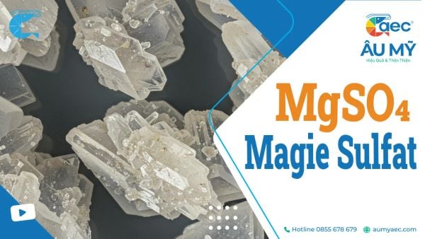 MgSO4 là gì? Tính chất, Ứng dụng của Magie Sulfat