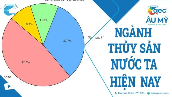 NGÀNH THỦY SẢN NƯỚC TA HIỆN NAY