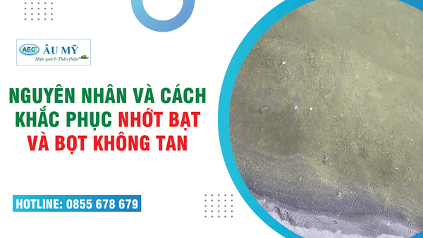 Hiện tượng “NHỚT BẠT và BỌT không tan” trong ao tôm, nguyên nhân và cách khắc phục