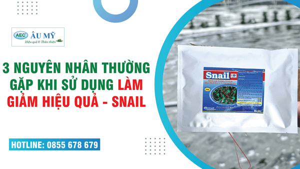 3 NGUYÊN NHÂN thường gặp khi  SỬ DỤNG SNAIL làm GIẢM tỷ LỆ ỐC ĐINH CHẾT