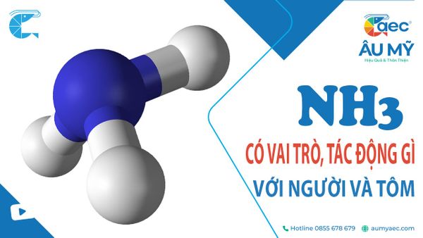 NH3 là gì? Amoniac có vai trò, tác động gì đối với Người và Tôm nuôi