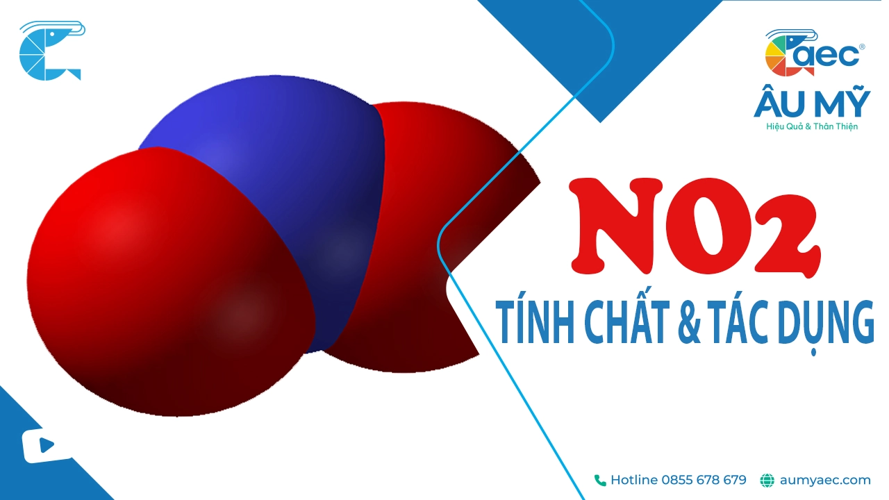 NO2 - Nitơ dioxide: Tính chất, Tác dụng và Giải pháp