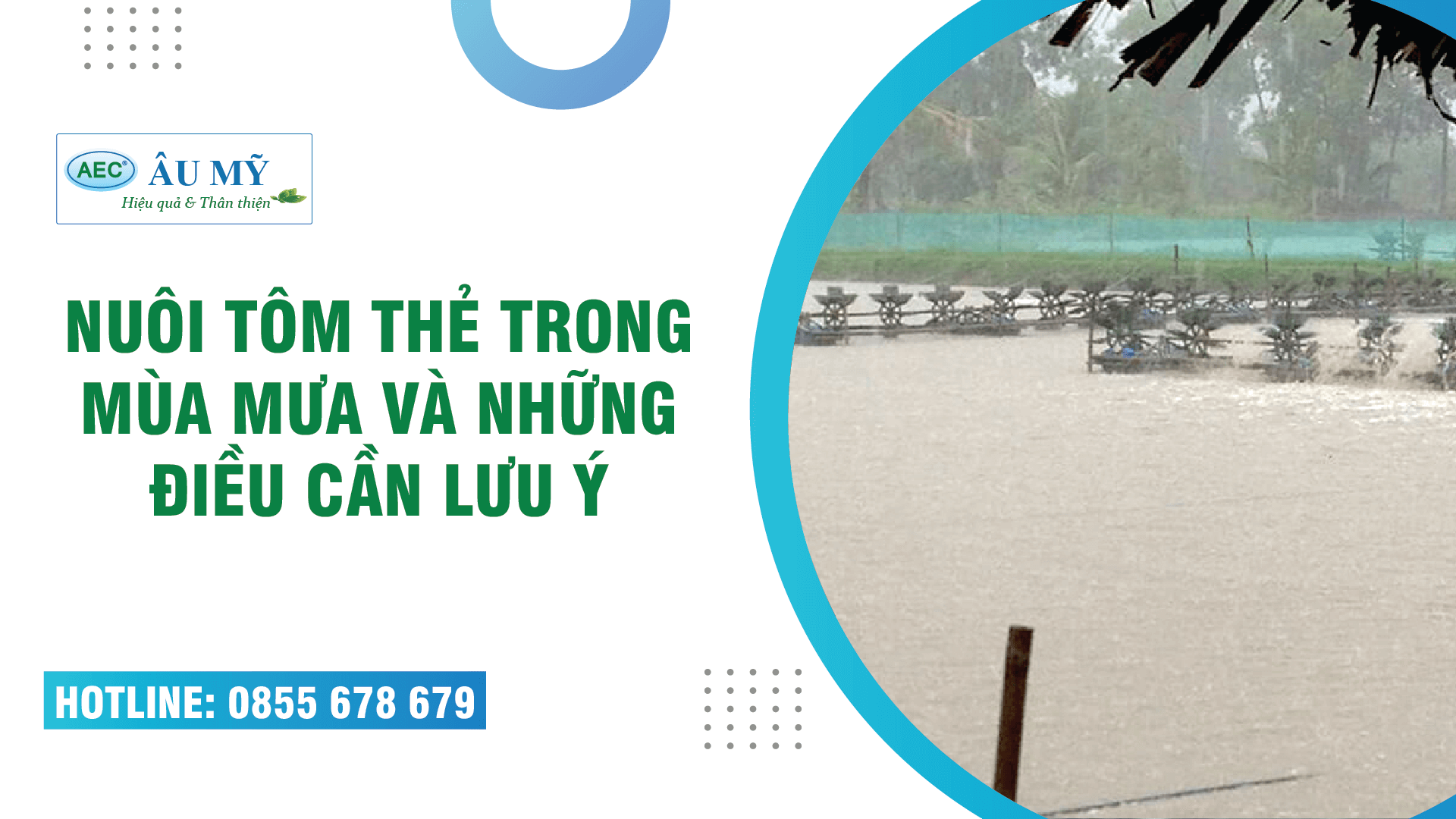 NUÔI TÔM THẺ TRONG MÙA MƯA VÀ NHỮNG ĐIỀU CẦN LƯU Ý