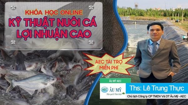 THÔNG BÁO TUYỂN SINH CHƯƠNG TRÌNH ĐÀO TẠO NUÔI CÁ AEC - CA08