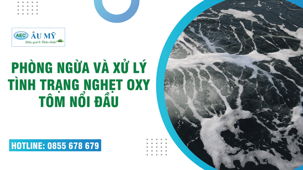PHÒNG NGỪA VÀ XỬ LÝ TRIỆT ĐỂ HIỆN TƯỢNG TÔM “NGHẸT OXY-TÔM NỔI ĐẦU”
