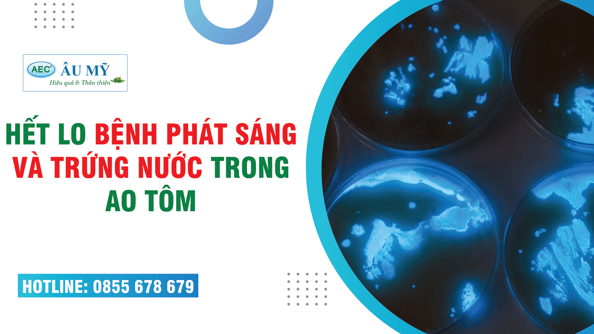 NƯỚC PHÁT SÁNG và TRỨNG NƯỚC trong ao tôm. Tại sao? và Cách xử lý