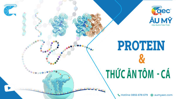 Protein và Vai trò quan trọng trong Thức ăn thủy sản cho Tôm, Cá