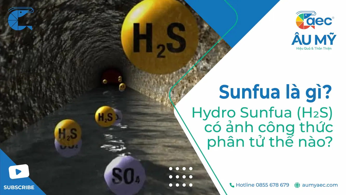 Sunfua là gì ? Hydro Sunfua (H 2 S) có ảnh công thức phân tử thế nào ?