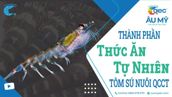 THÀNH PHẦN THỨC ĂN TỰ NHIÊN CỦA TÔM SÚ Ở AO NUÔI QUẢNG CANH CẢI TIẾN