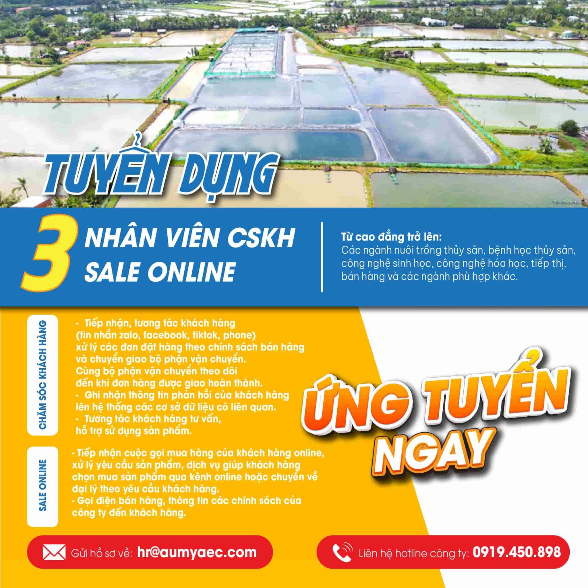 THÔNG BÁO TUYỂN DỤNG 3 CHĂM SÓC KHÁCH HÀNG SALE ONLINE