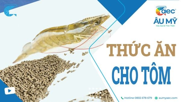 Thức ăn cho tôm: Hướng dẫn toàn diện cho bà con nuôi tôm