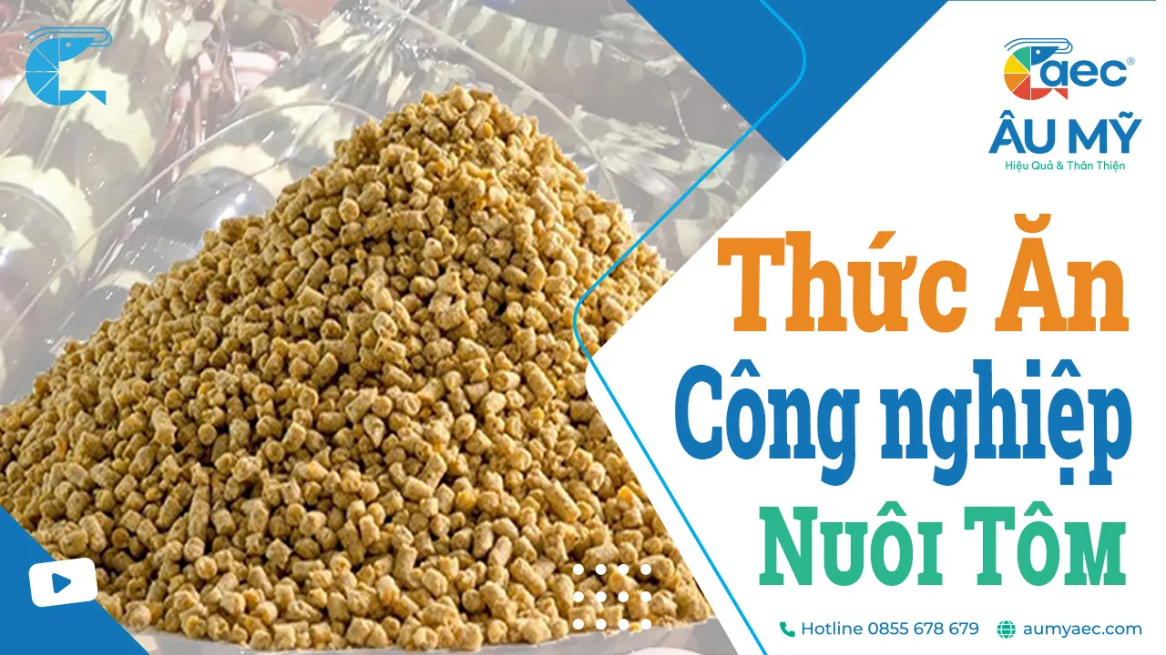 Thức Ăn Công Nghiệp Nuôi Tôm: Bí Quyết Thành Công Cho Bà con nuôi tôm