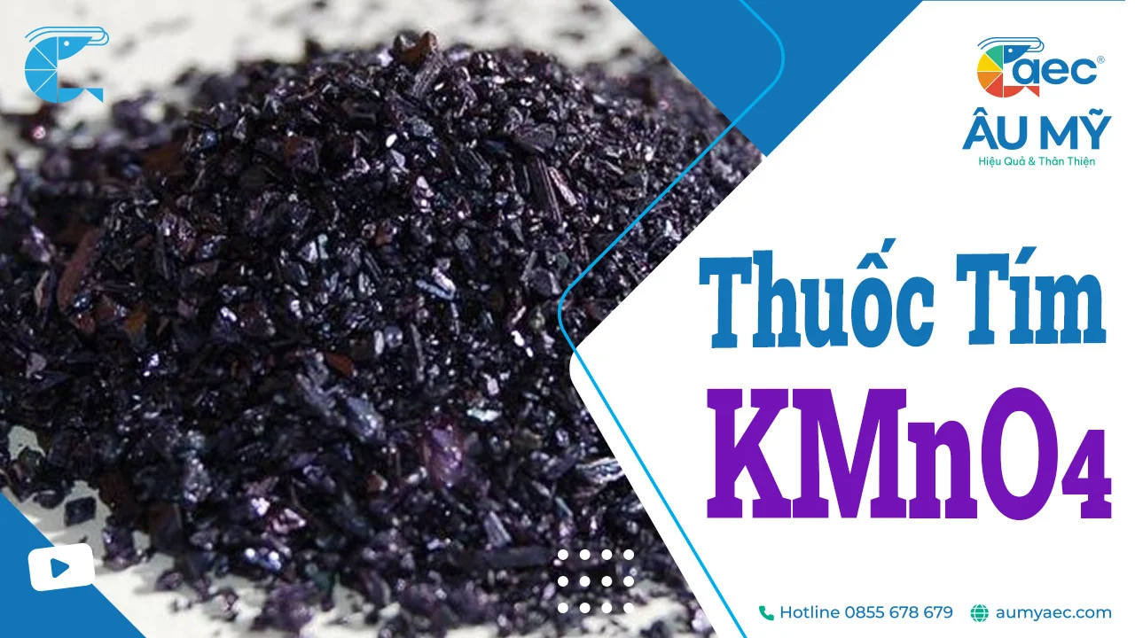 THUỐC TÍM KMnO4: CÔNG DỤNG VÀ ỨNG DỤNG TRONG NUÔI TÔM CÁ