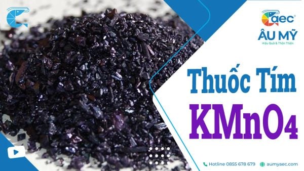 THUỐC TÍM KMnO4: CÔNG DỤNG VÀ ỨNG DỤNG TRONG NUÔI TÔM CÁ