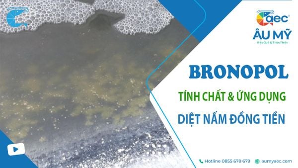 Bronopol là gì? Tác dụng, Ứng dụng xử lý Nấm đồng tiền, Nấm chân chó