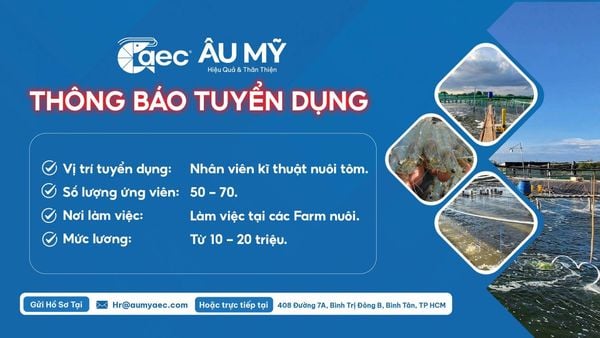 THÔNG BÁO TUYỂN DỤNG KỸ THUẬT NUÔI TÔM